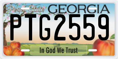 GA license plate PTG2559