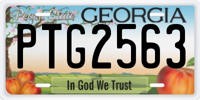 GA license plate PTG2563