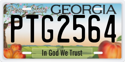 GA license plate PTG2564