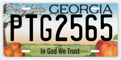 GA license plate PTG2565