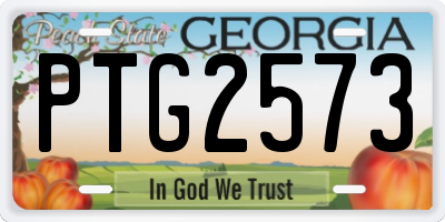 GA license plate PTG2573
