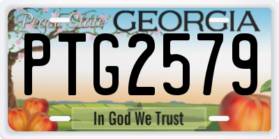 GA license plate PTG2579