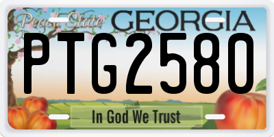 GA license plate PTG2580