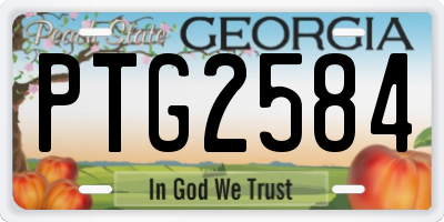 GA license plate PTG2584