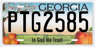 GA license plate PTG2585