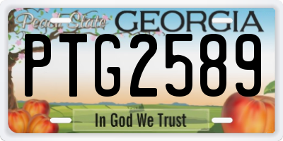GA license plate PTG2589