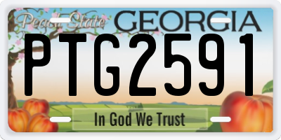 GA license plate PTG2591