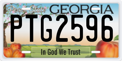 GA license plate PTG2596