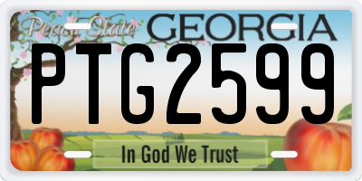GA license plate PTG2599