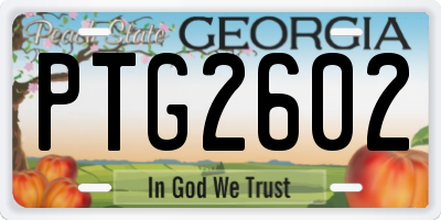 GA license plate PTG2602