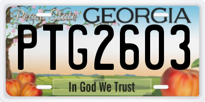 GA license plate PTG2603