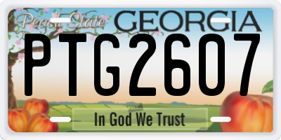 GA license plate PTG2607