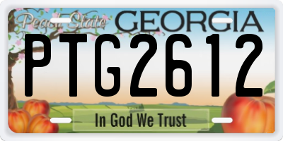 GA license plate PTG2612