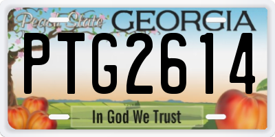 GA license plate PTG2614