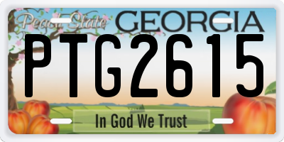 GA license plate PTG2615