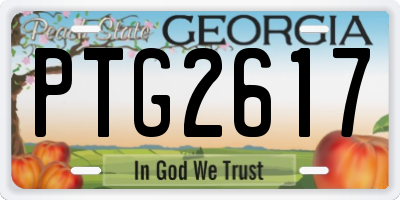 GA license plate PTG2617