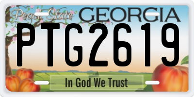 GA license plate PTG2619