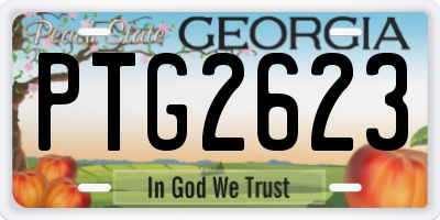 GA license plate PTG2623