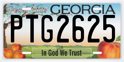 GA license plate PTG2625