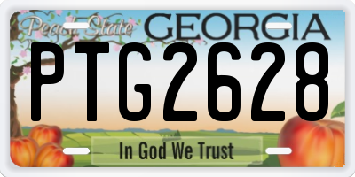 GA license plate PTG2628