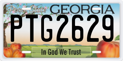 GA license plate PTG2629