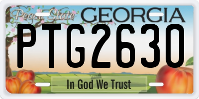 GA license plate PTG2630