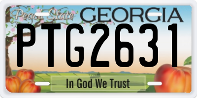 GA license plate PTG2631