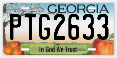 GA license plate PTG2633