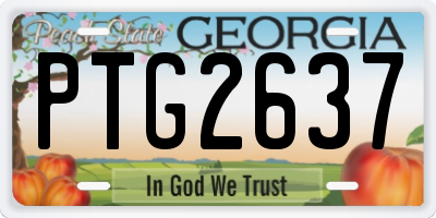 GA license plate PTG2637