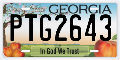 GA license plate PTG2643