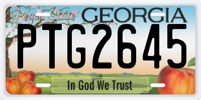 GA license plate PTG2645