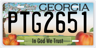 GA license plate PTG2651
