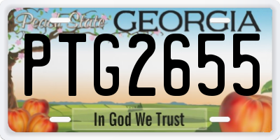 GA license plate PTG2655