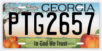 GA license plate PTG2657