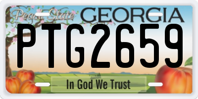 GA license plate PTG2659