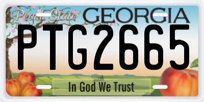 GA license plate PTG2665