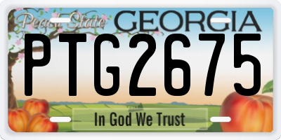 GA license plate PTG2675