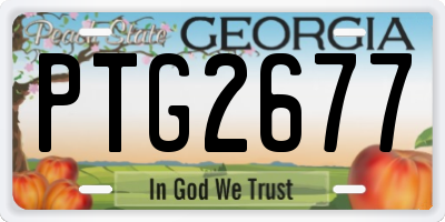 GA license plate PTG2677