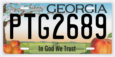 GA license plate PTG2689
