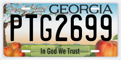 GA license plate PTG2699