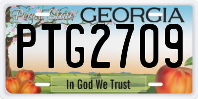GA license plate PTG2709