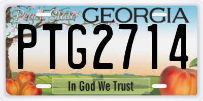 GA license plate PTG2714