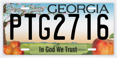 GA license plate PTG2716