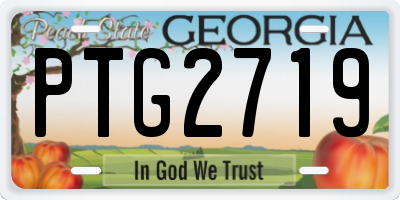 GA license plate PTG2719