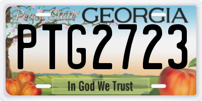 GA license plate PTG2723