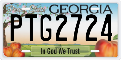 GA license plate PTG2724