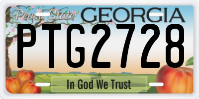 GA license plate PTG2728