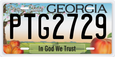 GA license plate PTG2729
