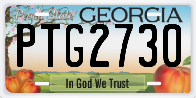 GA license plate PTG2730