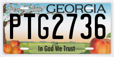 GA license plate PTG2736